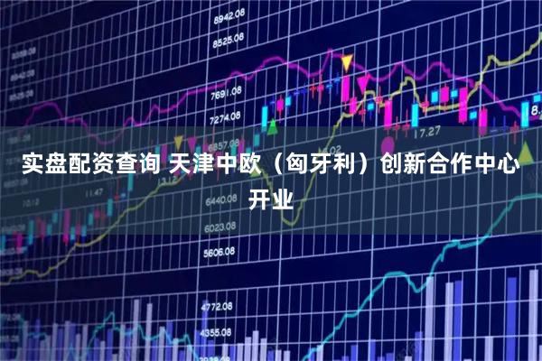 实盘配资查询 天津中欧（匈牙利）创新合作中心开业