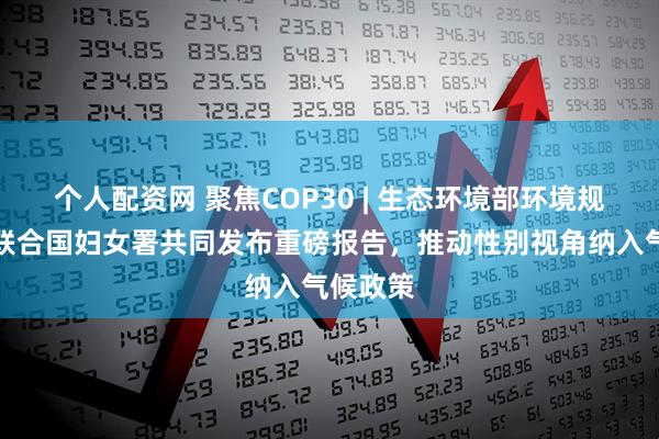 个人配资网 聚焦COP30 | 生态环境部环境规划院与联合国妇女署共同发布重磅报告,推动性别视角纳入气候政策