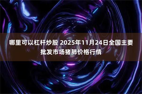 哪里可以杠杆炒股 2025年11月24日全国主要批发市场猪肺价格行情